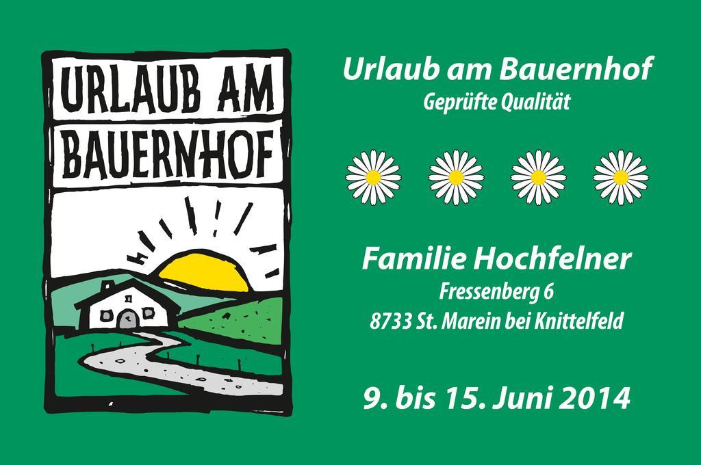 Ferienhaus Hochfelner Sankt Marein bei Knittelfeld Exterior foto